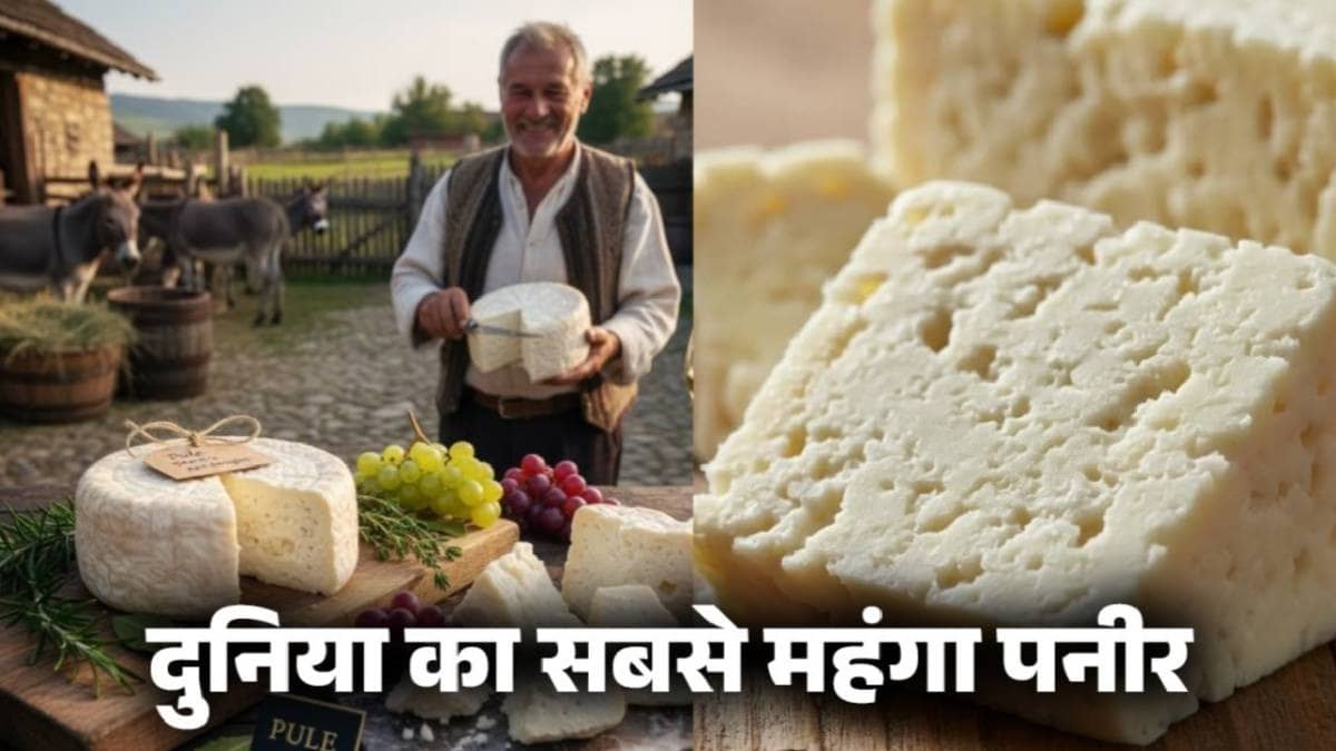 यहां बनता है दुनिया का सबसे महंगा पनीर, एक किलो की कीमत में घूम आएंगे विदेश, गधी के दूध से होता है तैयार