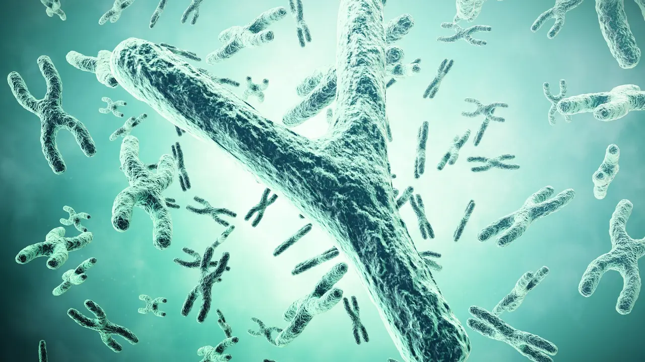 ‘World Of Girls’: Y Chromosome Shrinking, Will Men Disappear From Earth?