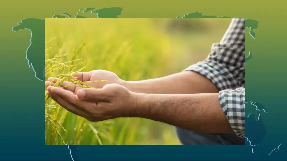 World Unique Country