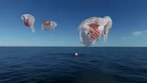 Splashdown Successful, First Visuals of SpaceX Dragon’s Return to Earth | WATCH