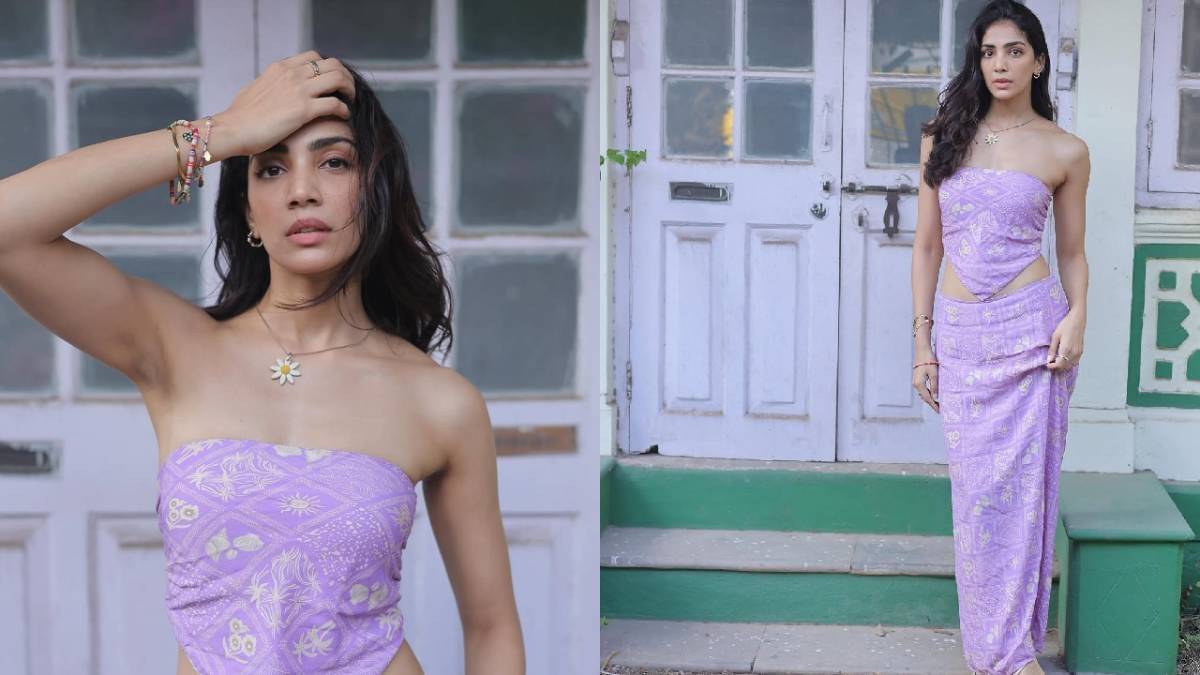 Description of the pic