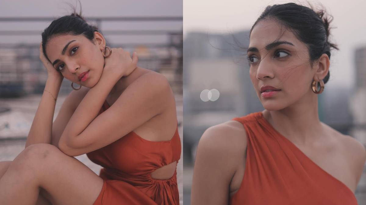 Description of the pic