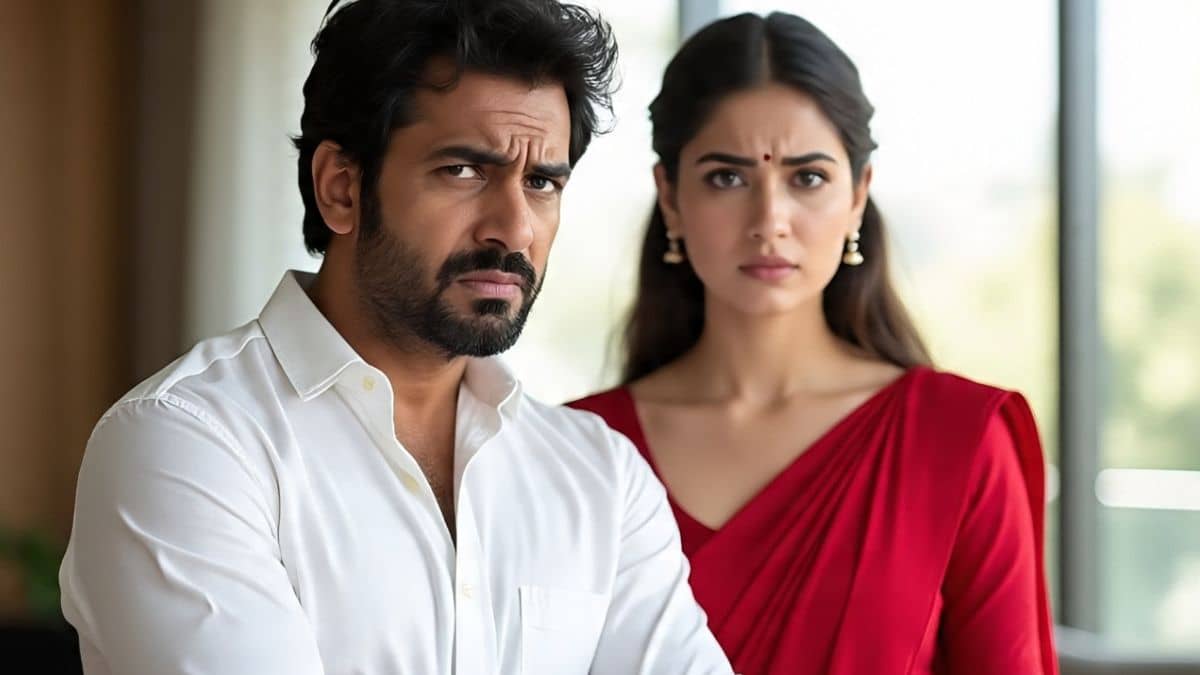 Description of the pic