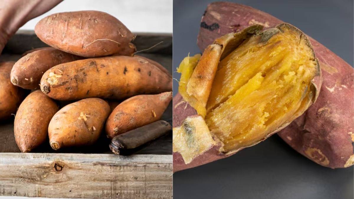 Description of the pic