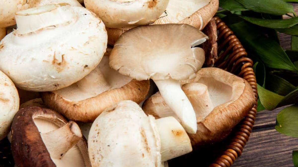 Description of the pic