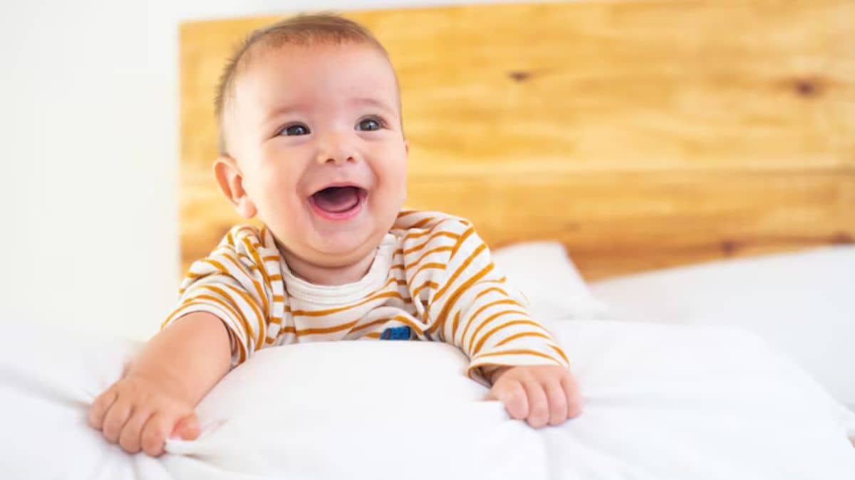 Description of the pic