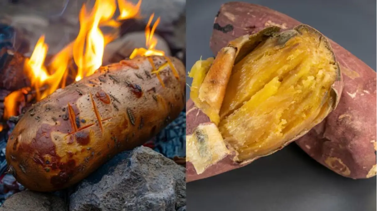 Disadvantages of Shakarkandi: There are many benefits of sweet potato in winter but it can become poison for these people, do not consume it even by mistake. Disadvantages of Shakarkandi: There are many benefits of sweet potato in winter but it can become poison for these people, do not consume it even by mistake.