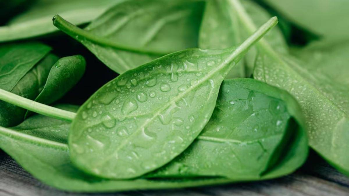 Description of the pic