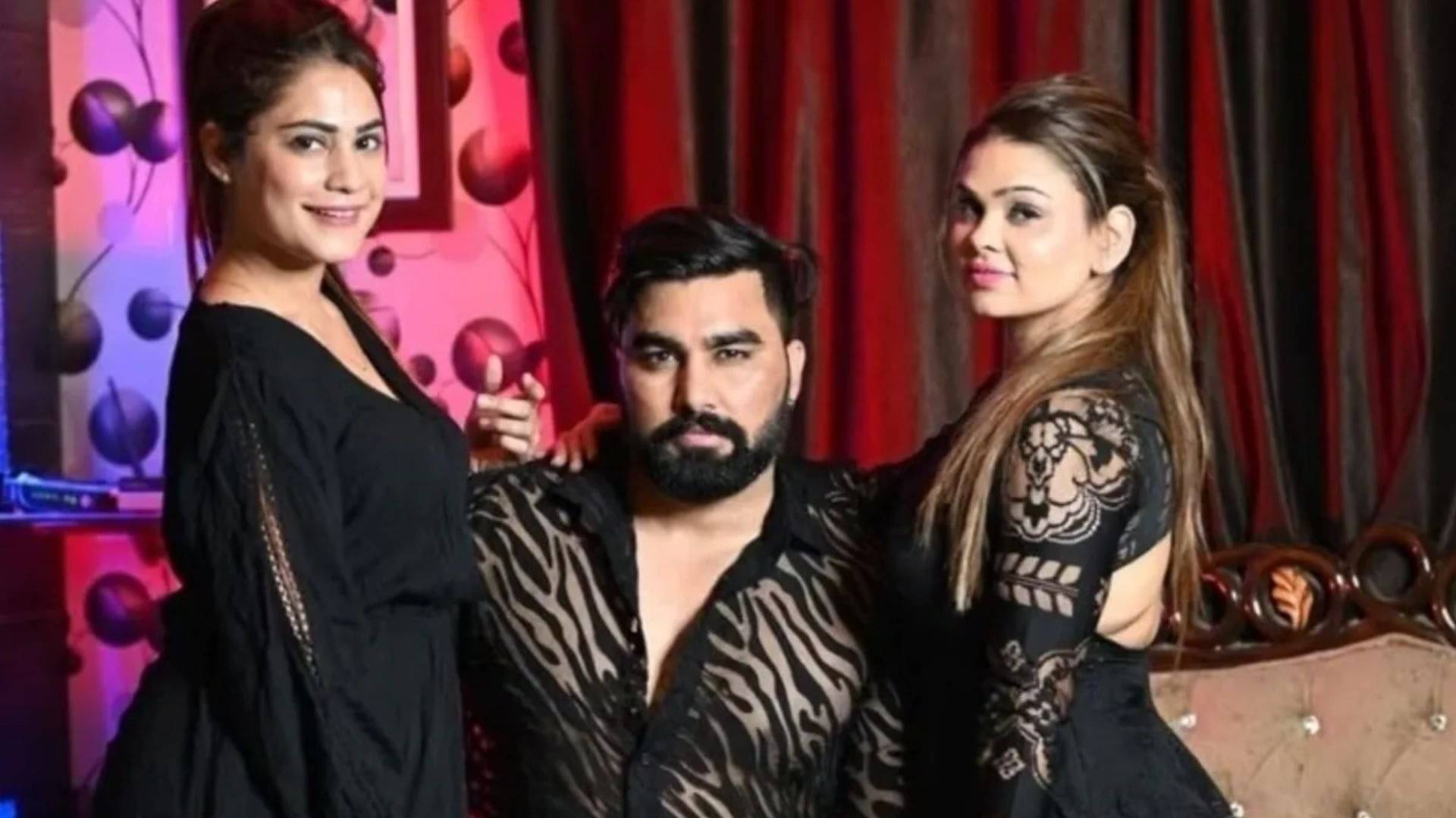 Description of the pic