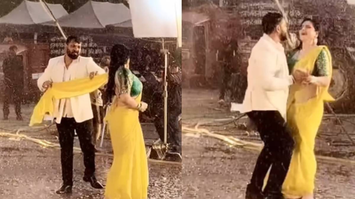 Description of the pic