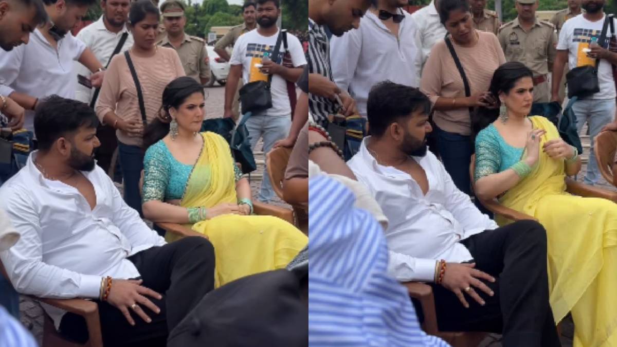 Description of the pic