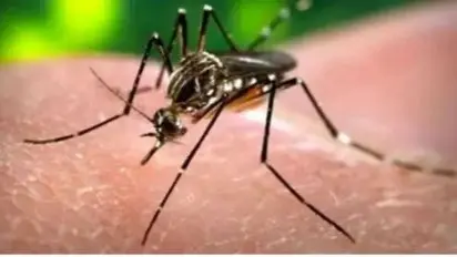 Zika Virus cases in Pune