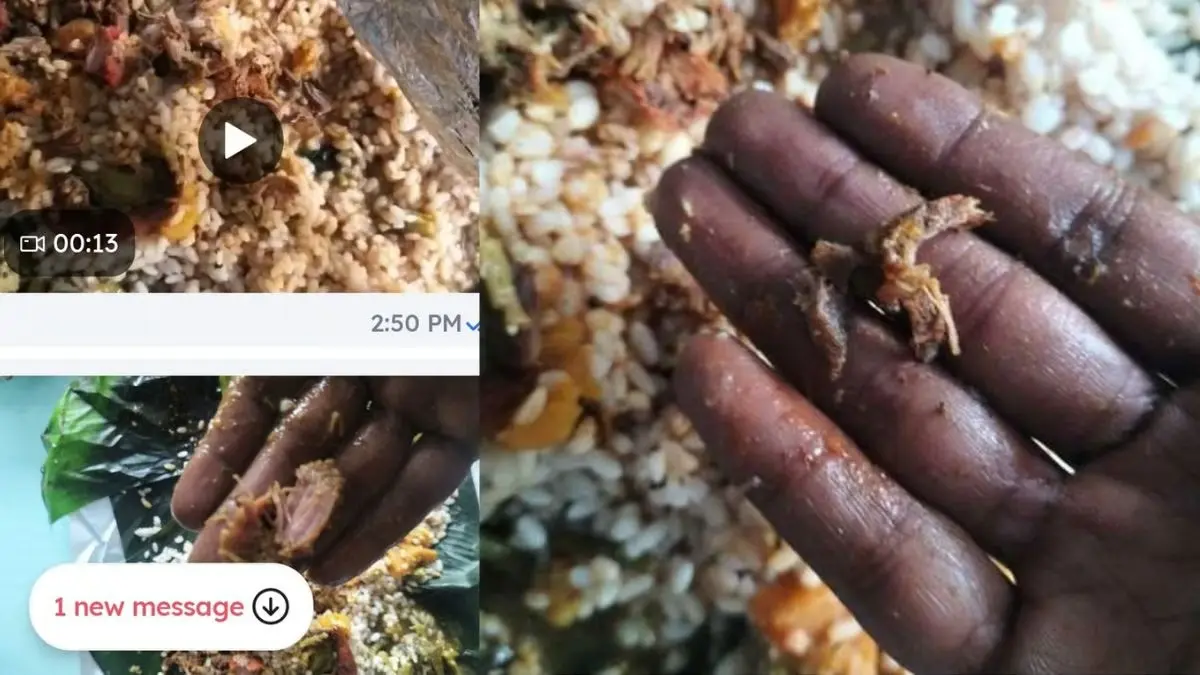 Mumbai Man Receives Beef Rice Instead of Fish Pothichoru, Zomato Responds Zomato Wrong Order