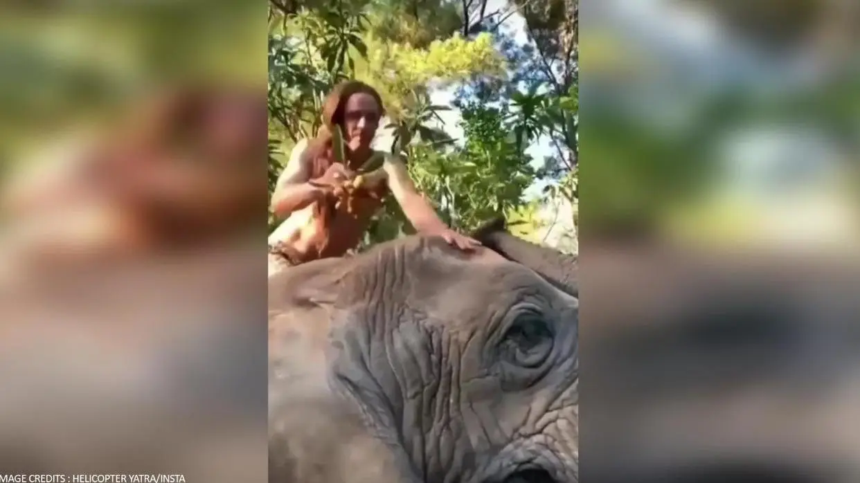 in a viral video man is feeding elephant with his hands