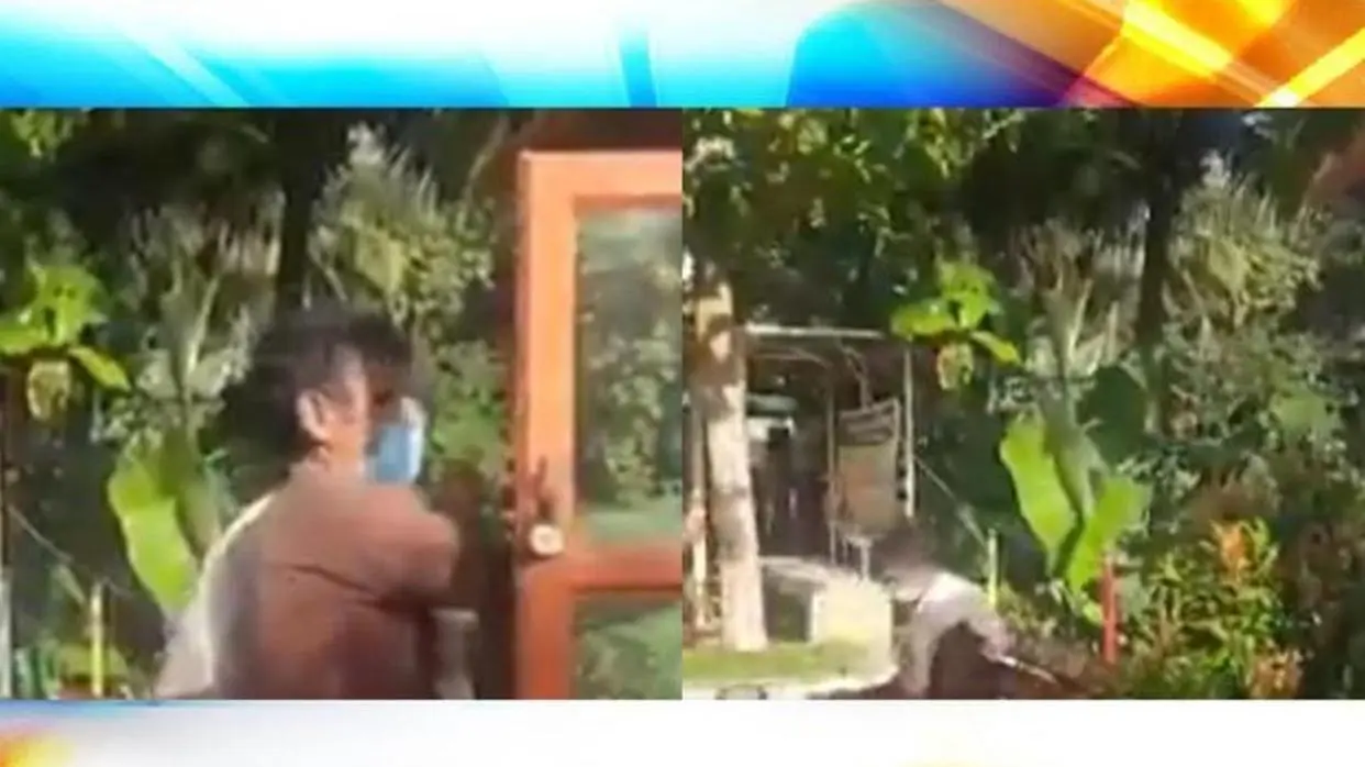 IMAGE: @Kerala Tourism/Twitter