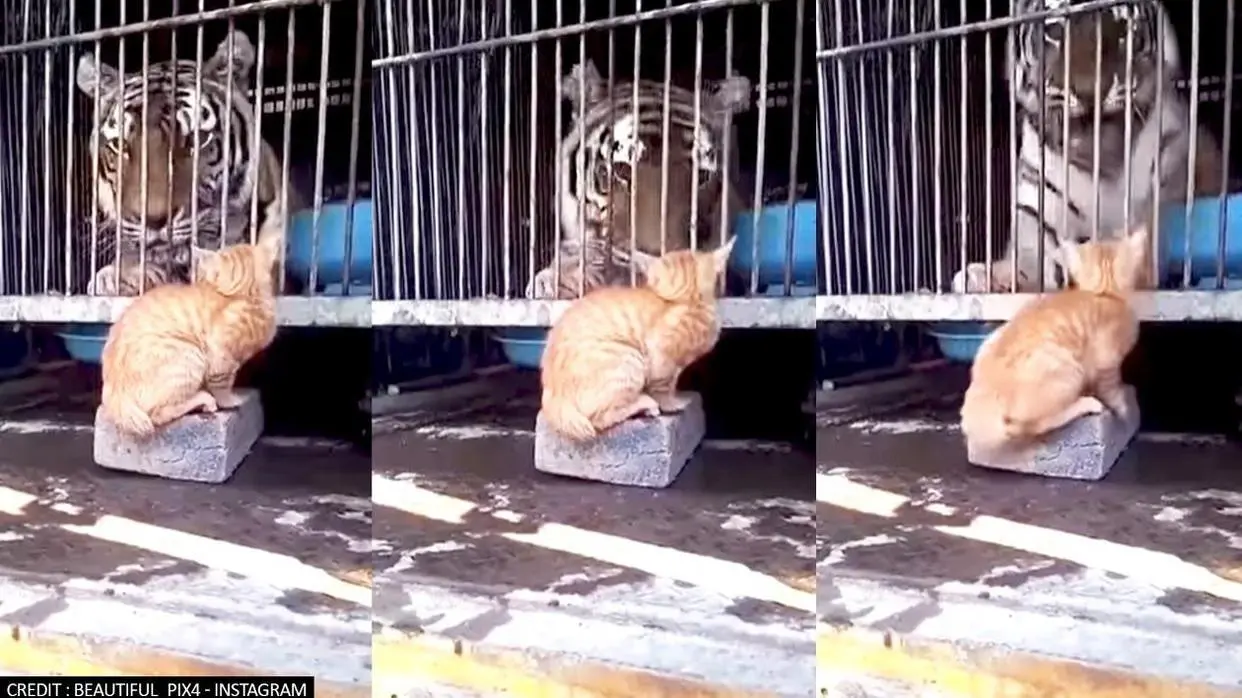 (PC: Beautiful_Pix4)