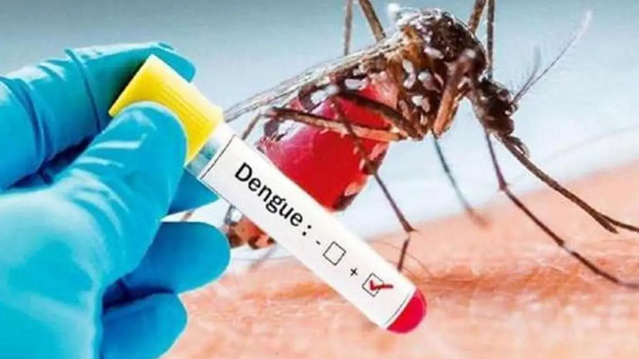 Dengue know dengue fever symptoms causes treatment and precautions