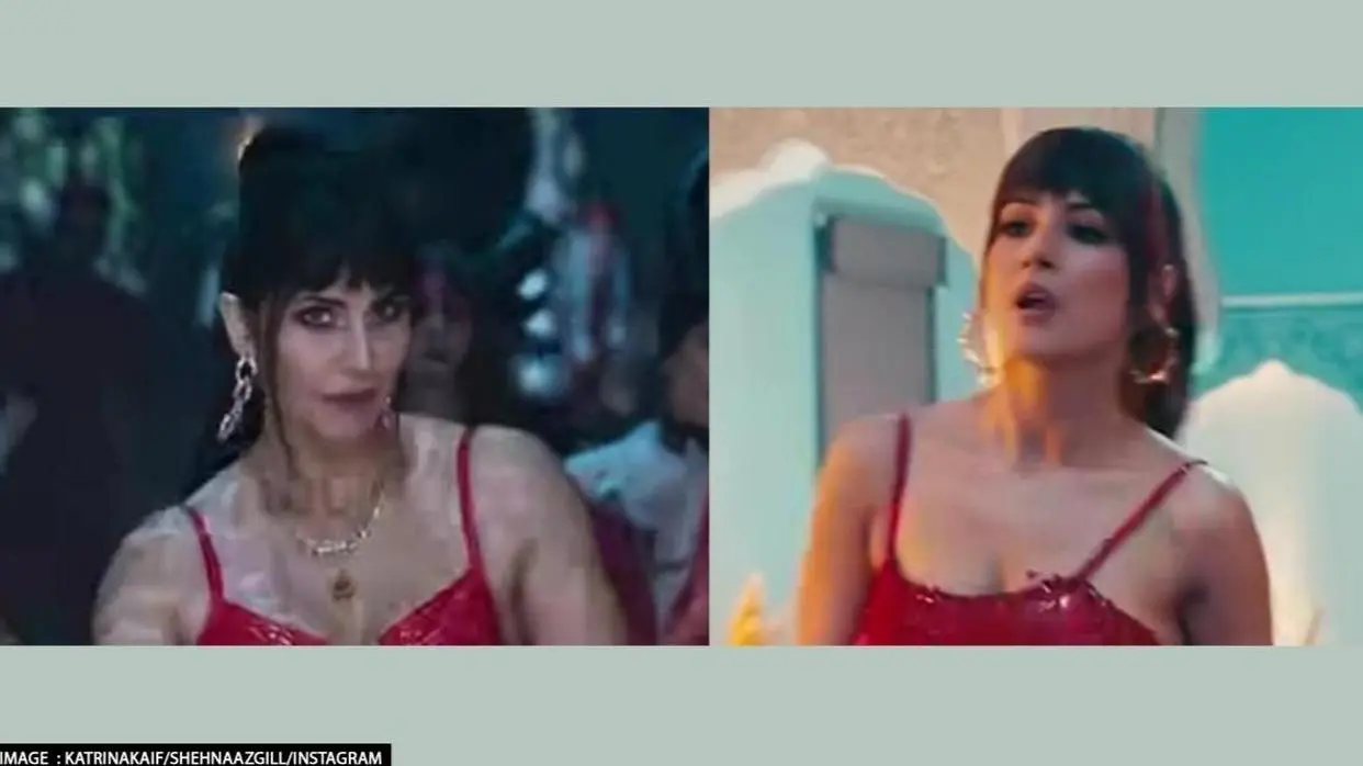 PC: katrinakaif/shehnaazgill/Instagram