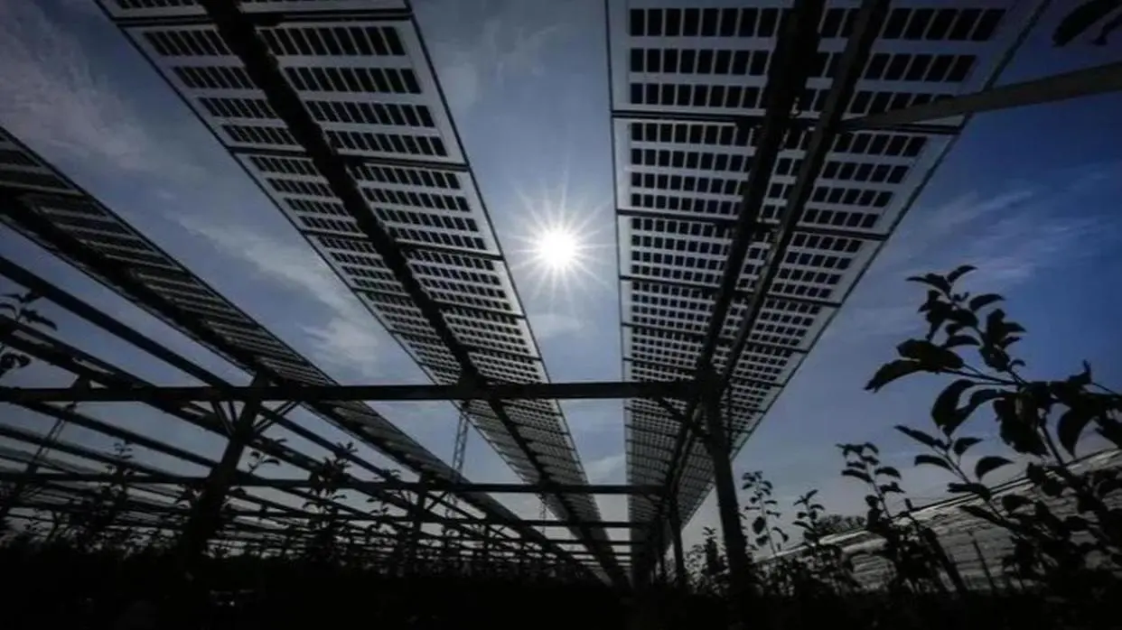 PC : AP/Representative