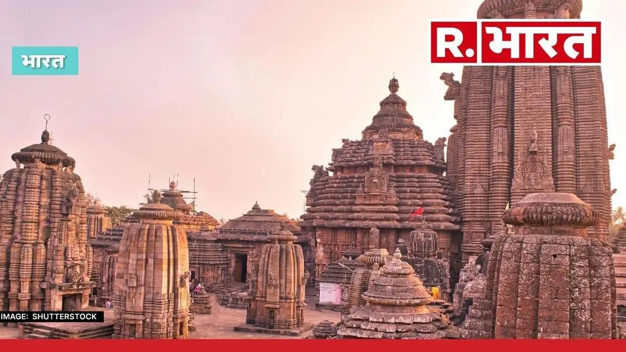 IMAGE: SHUTTERSTOCKS