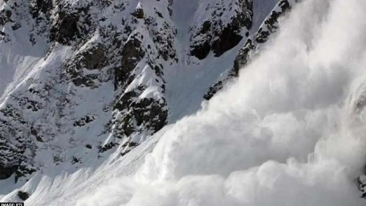 What is Avalanche? (PC: PTI)