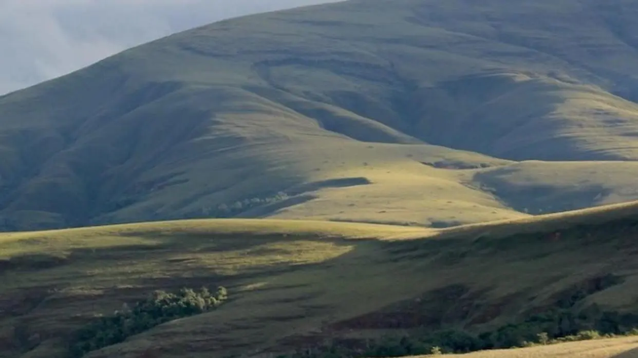 African Grassland (PC : PTI)