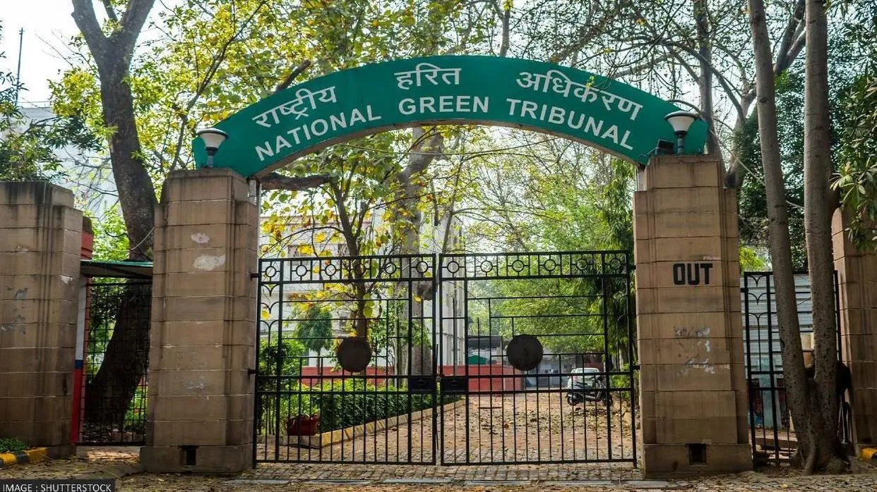 National Green Tribunal (PC : ANI)