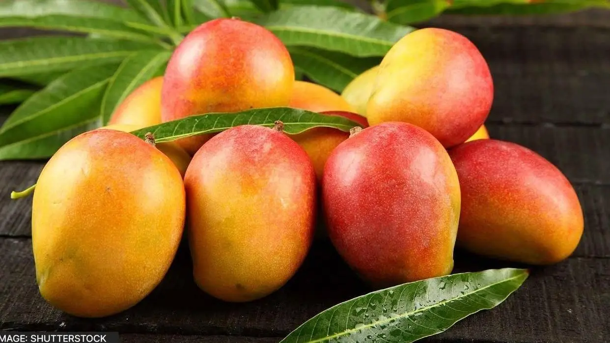 mango seize in tamilnadu