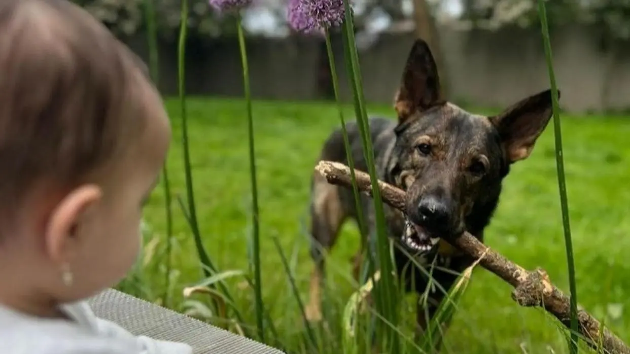 Picture Courtesy:Ginojonaschopra/instagram