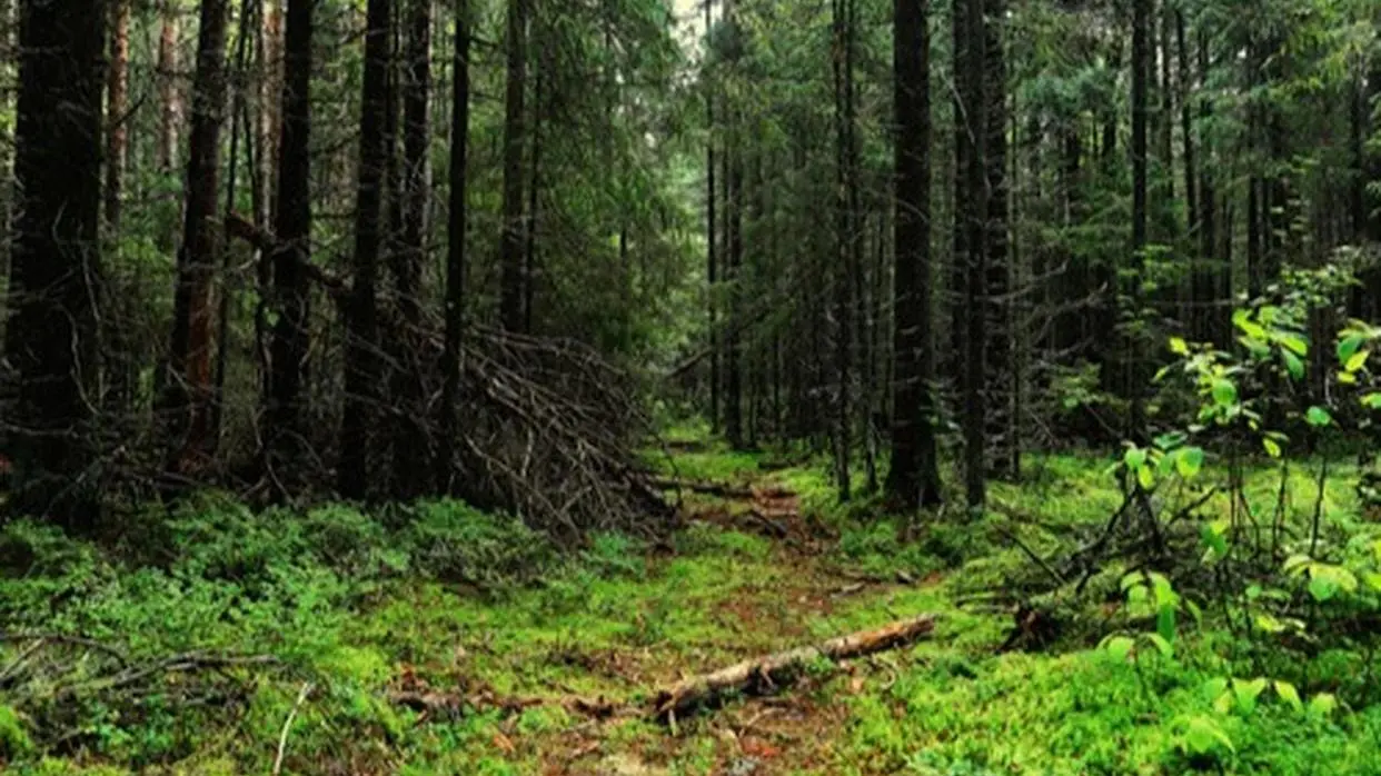 Tribal Environmental Protector , PC : Shutterstock
