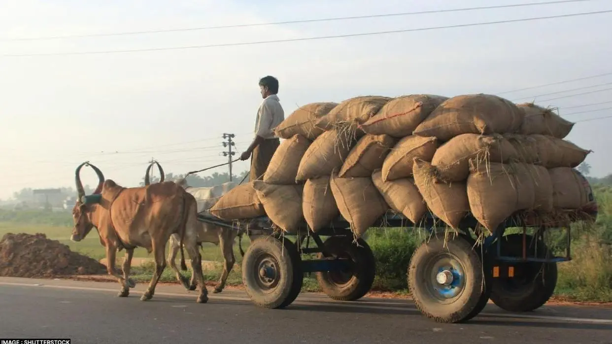 बैलगाड़ी से माल ढुलाई
(प्रतीकात्मक तस्वीर)