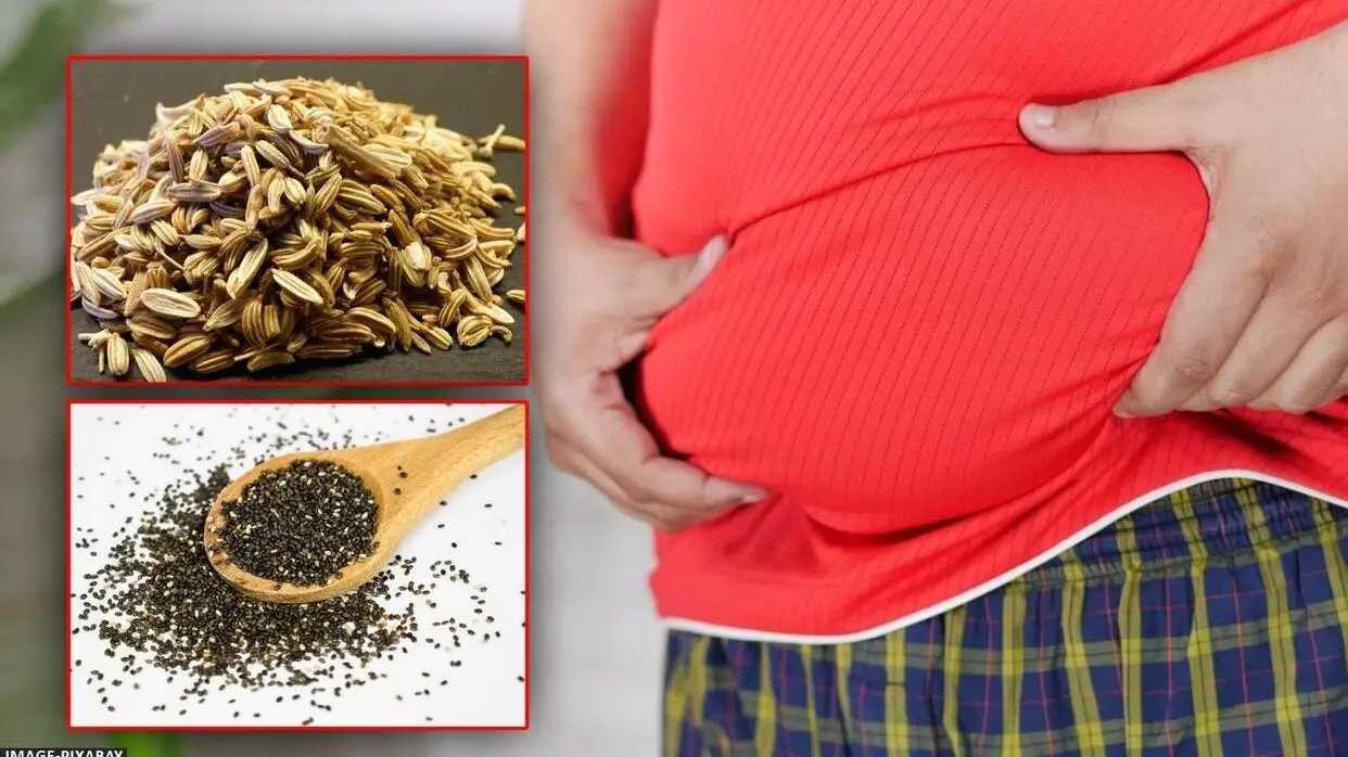 Benefits Of Funnel And Chia Seeds For Weight Loss