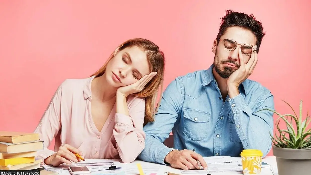 Why In Summer We Feel Sleepy