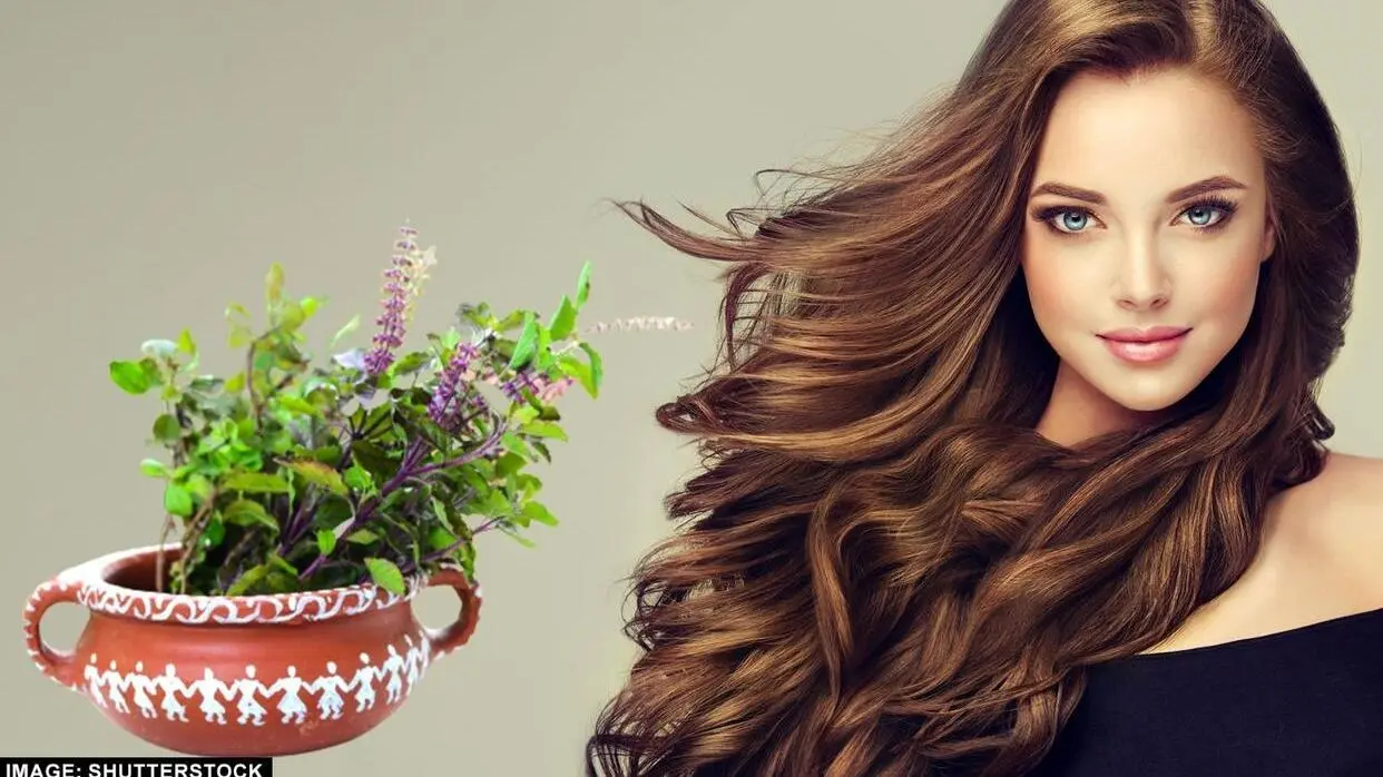 सर्दी हो या गर्मी आज के समय में डैंड्रफ की समस्या लोगों को काफी परेशान करती है।