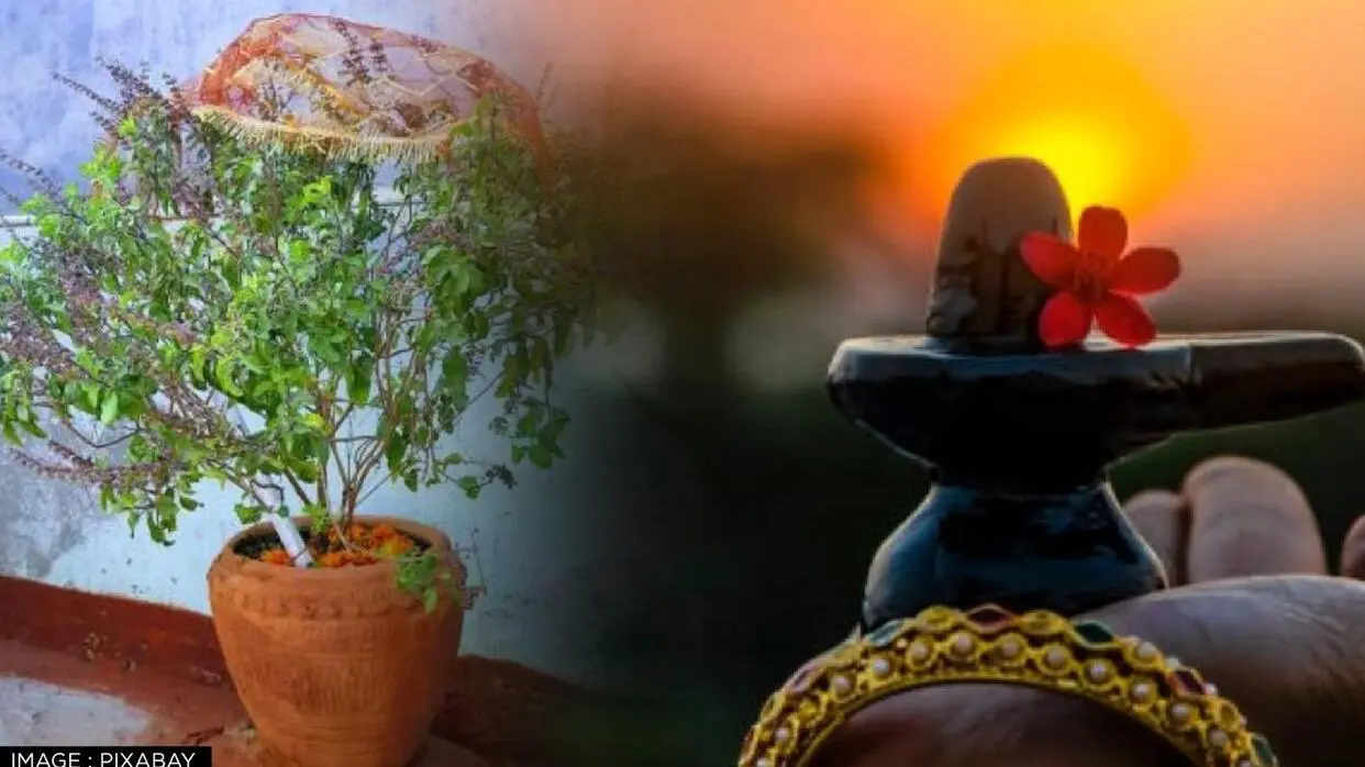Kya Tulsi Ke Sath Shivling Rakhna Chahiye