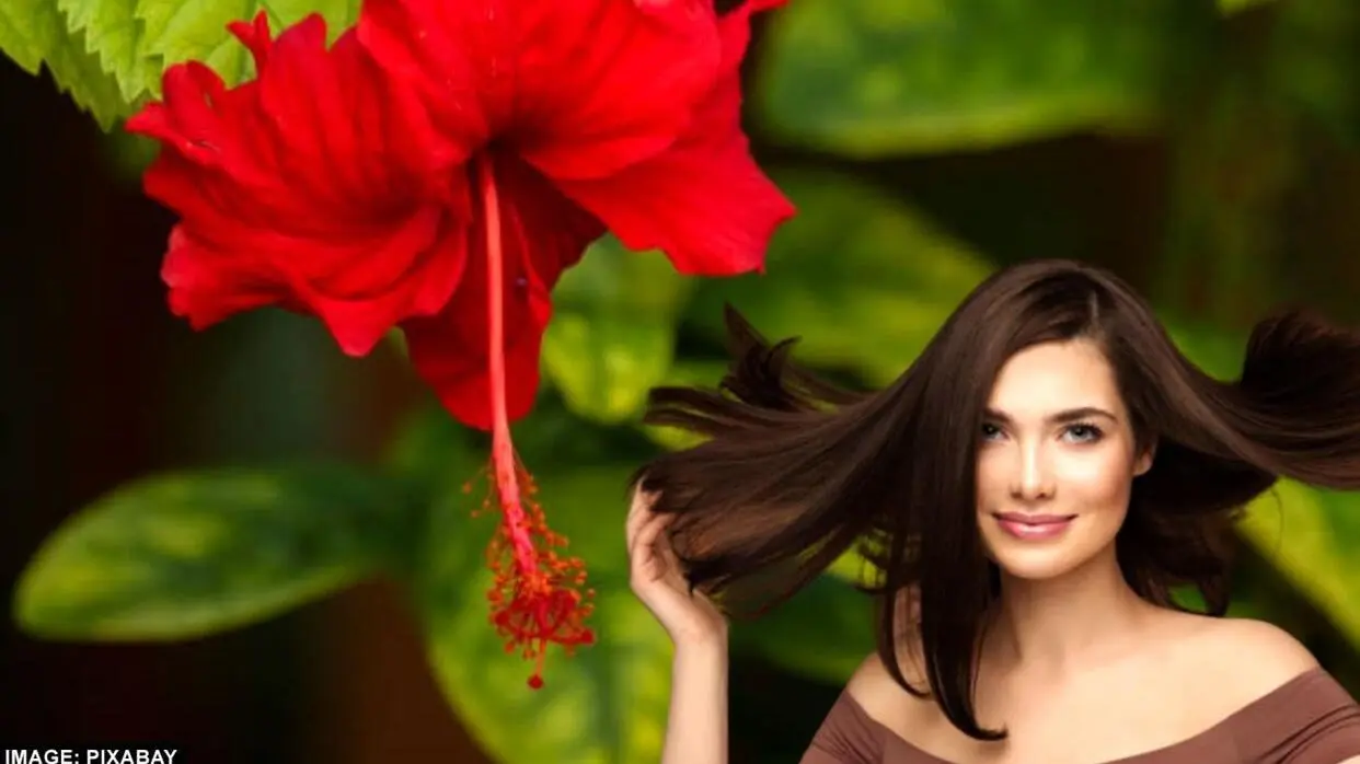 Homemade Hibiscus Oil For Hairs