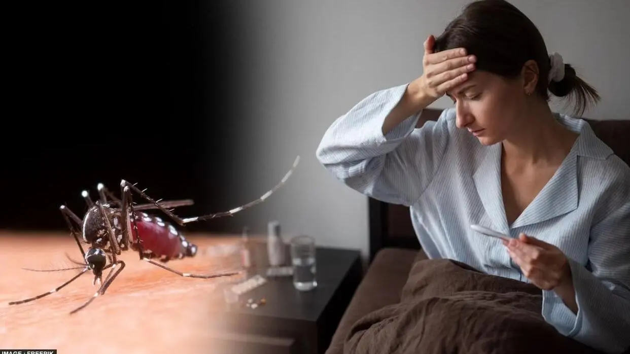 Dengue Fever Types And Prevention