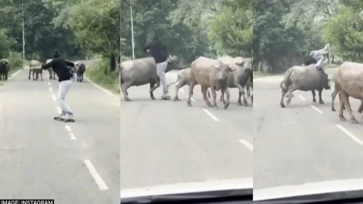 Funny Video Viral On Social Media