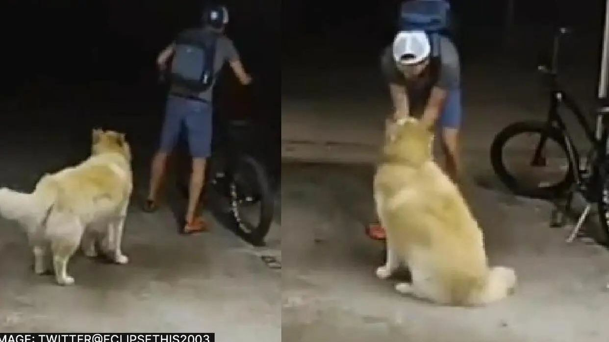 Viral News San Diego