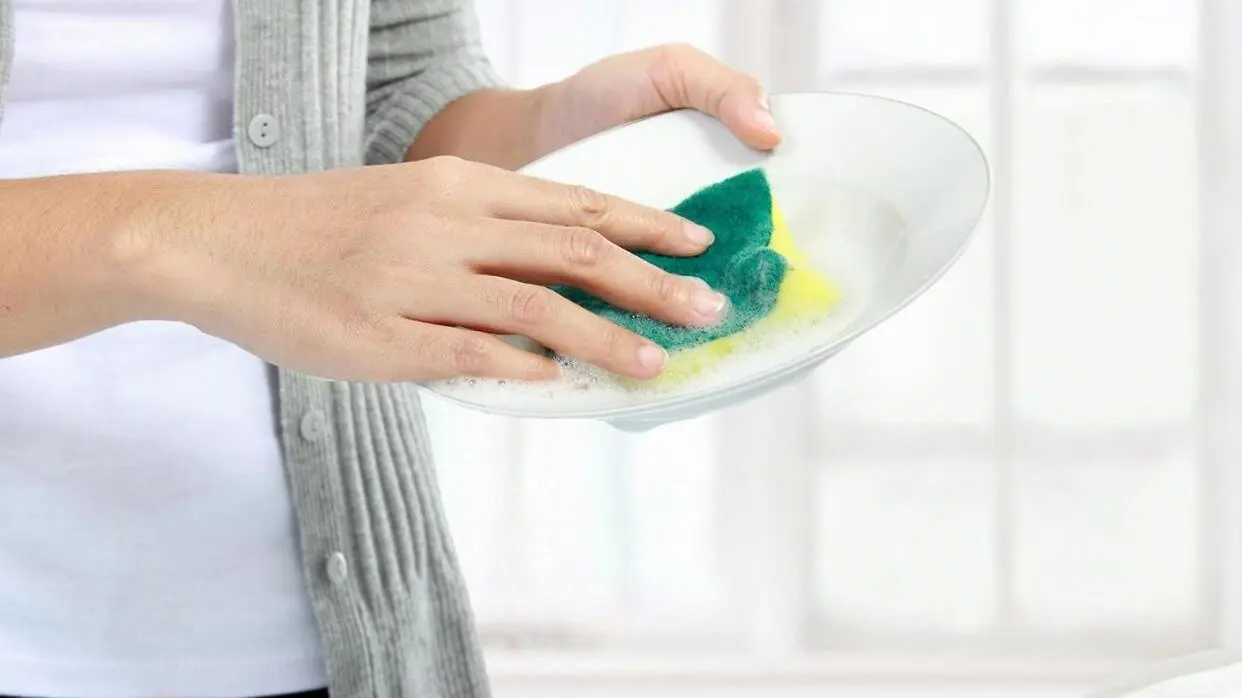 कई घरेलू कामों के लिए इस्तेमाल करें किचन स्क्रब (फोटो : shutterstock)