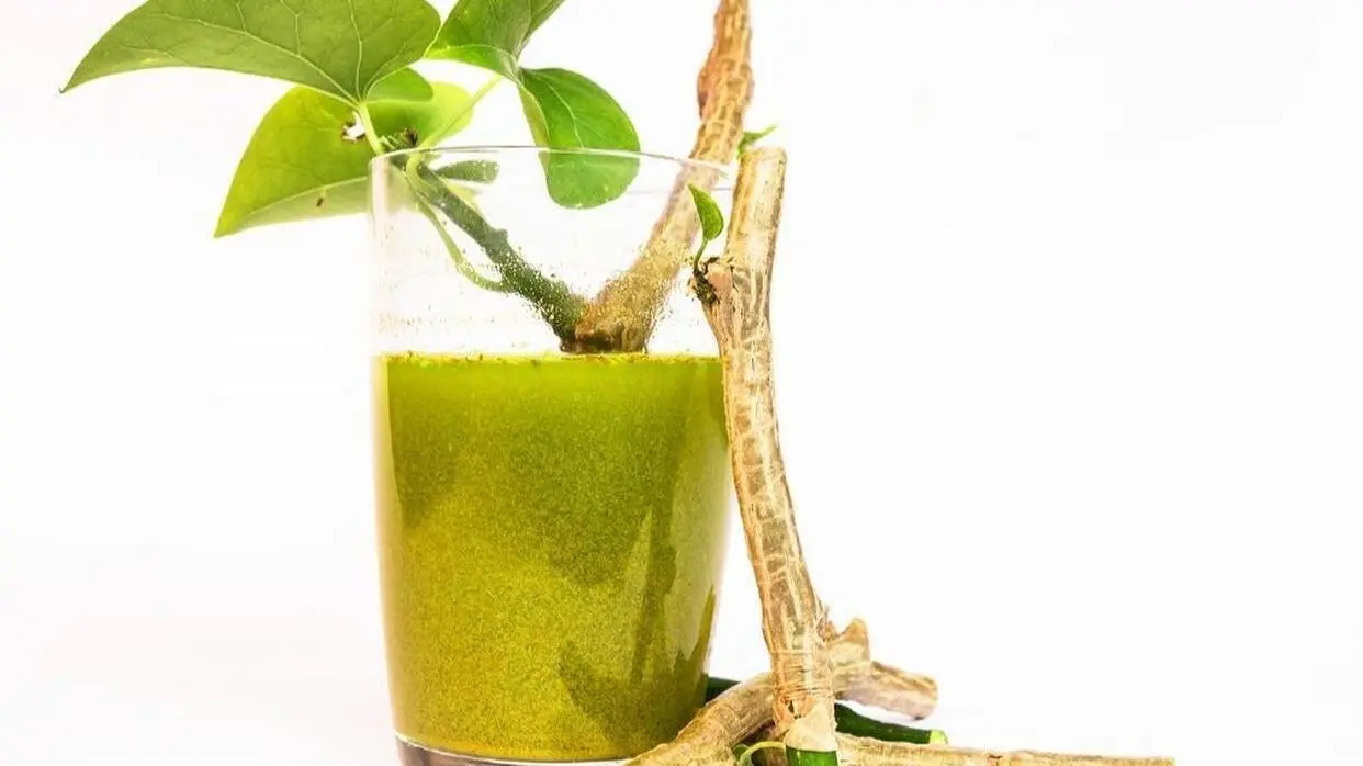 गिलोय के फायदे (फोटो : shutterstock)