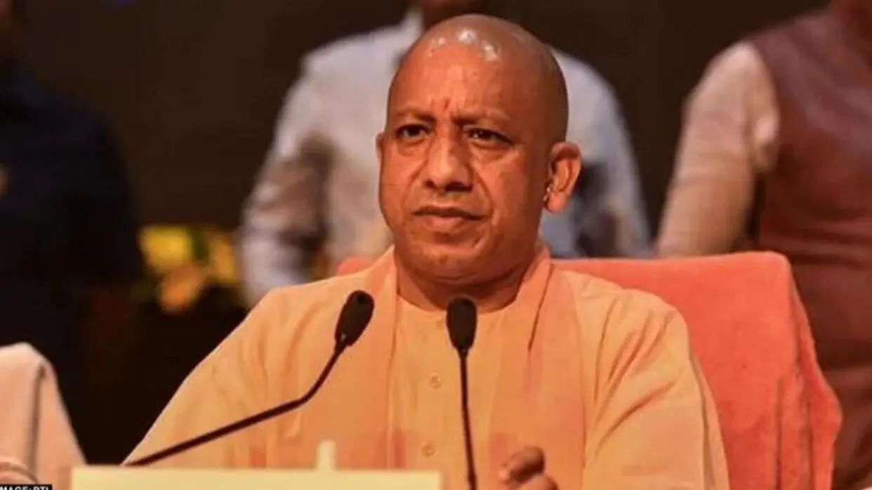 cm yogi (pc ani)