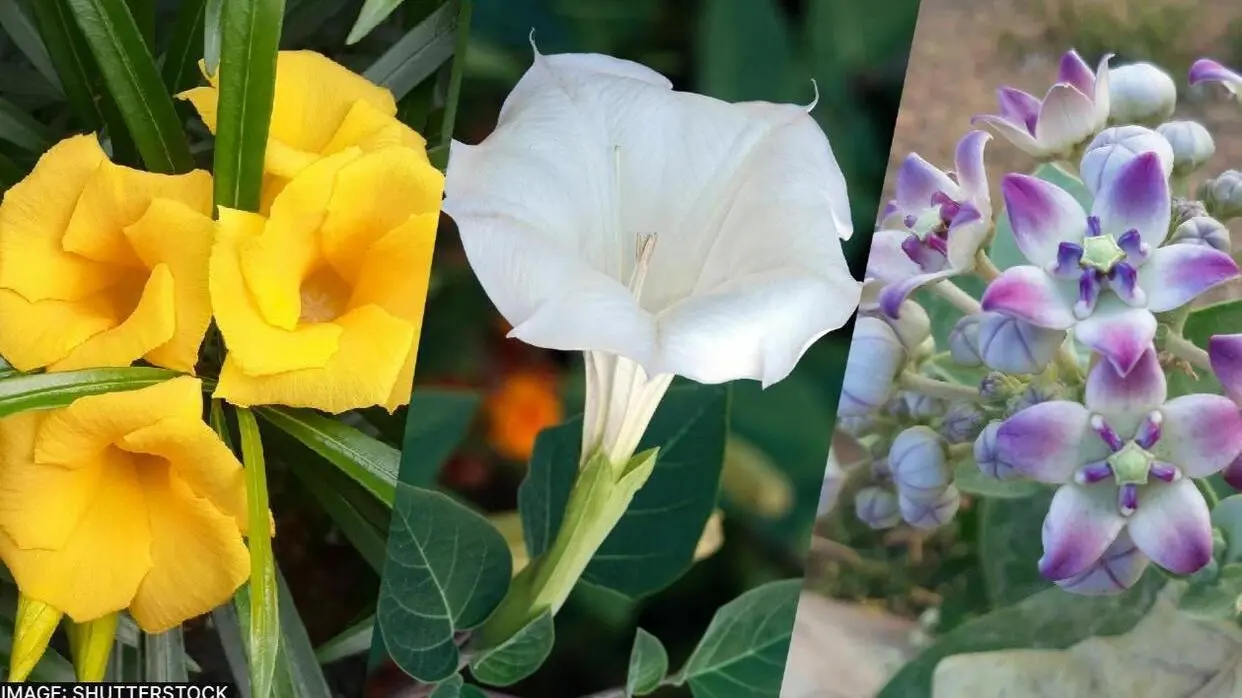 Sawan 2023 Bhagwan Shiv Ke Priya Phool