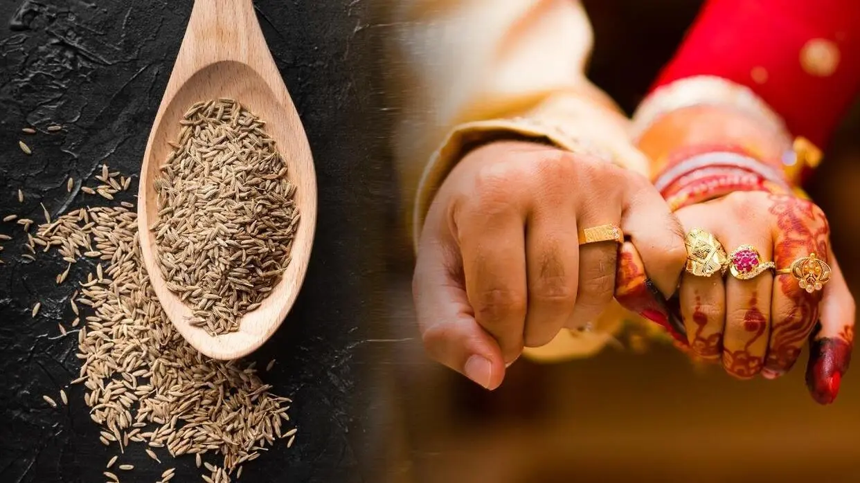 Image: Shutterstock/ Unsplash