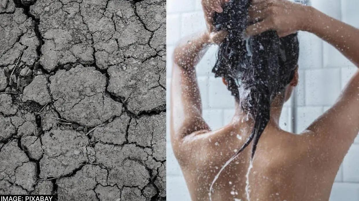 Benefits Of Black Soil For Hair