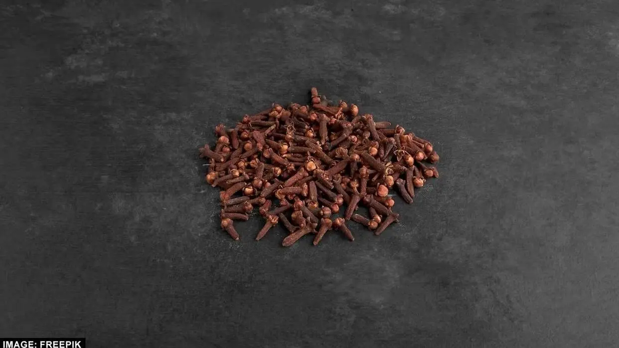 Kin Logo Ko Nhi Khana Chahiye Long