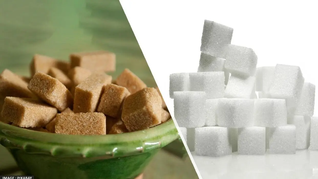 जानिए क्या होती है केन शुगर (फोटो : Pixabay)