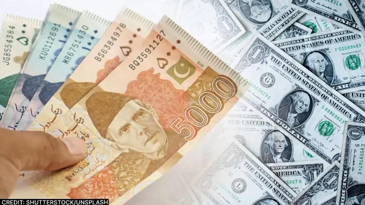 Pakistani Currency
