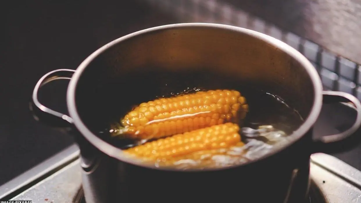 Boiled Corn Eating Benefit