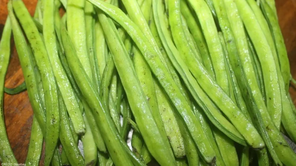 Gawar Phali Ke Fayde